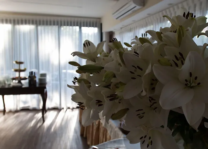 Miramare - & - Free Brunch & Breakfast Until 13-00